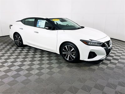 2023 Nissan Maxima SV